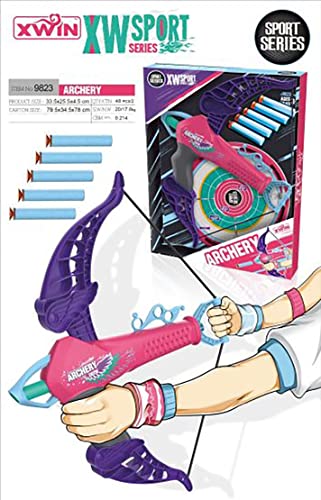 Archery Set 5 Foam Darts with Suction Cup